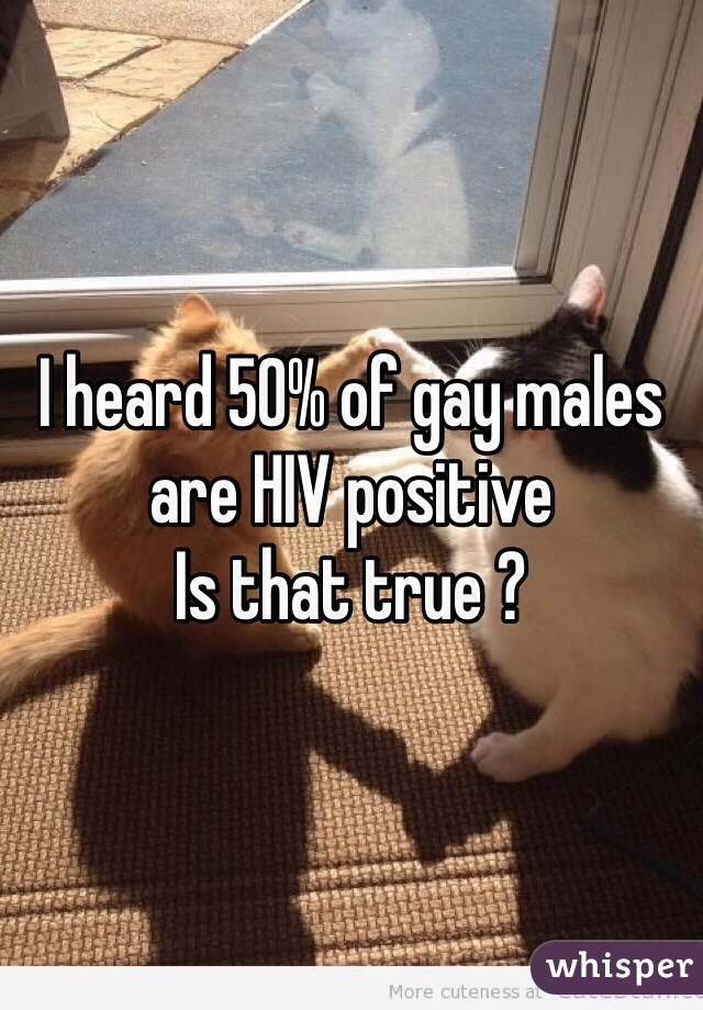 I heard 50% of gay males are HIV positive
Is that true ?
