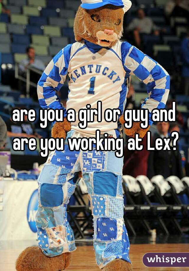 are you a girl or guy and are you working at Lex?