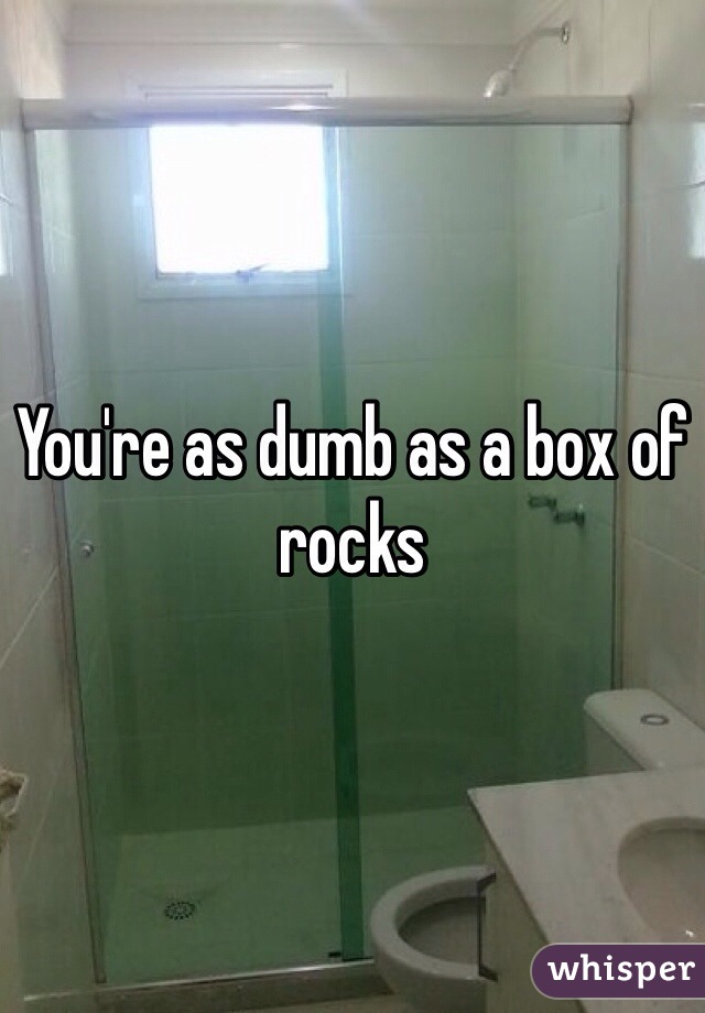 You're as dumb as a box of rocks