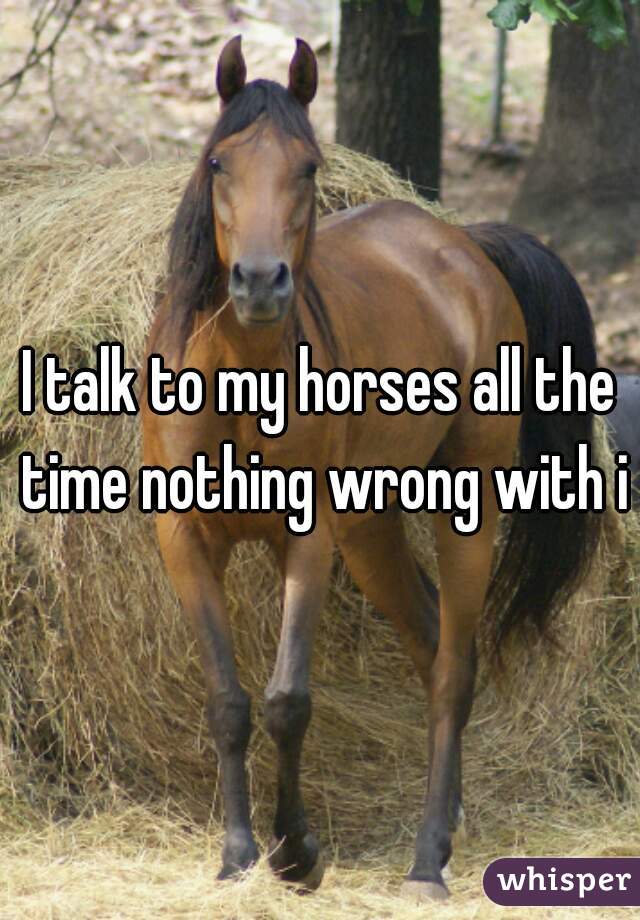 I talk to my horses all the time nothing wrong with it