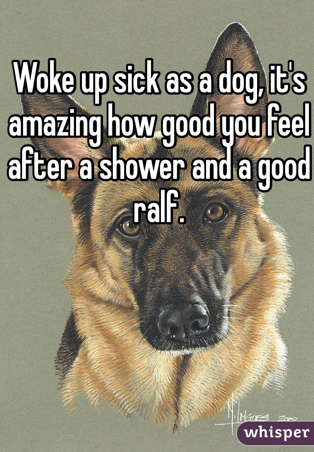 Woke up sick as a dog, it's amazing how good you feel after a shower and a good ralf. 