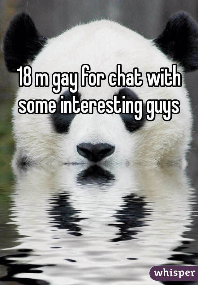 18 m gay for chat with some interesting guys