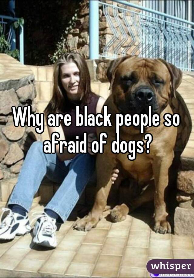 Why are black people so afraid of dogs?