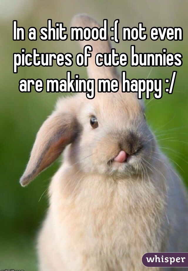 In a shit mood :( not even pictures of cute bunnies are making me happy :/ 