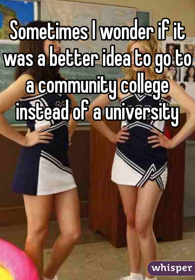Sometimes I wonder if it was a better idea to go to a community college instead of a university 