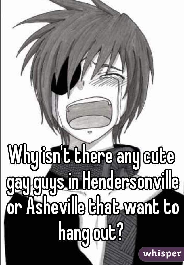 Why isn't there any cute gay guys in Hendersonville or Asheville that want to hang out? 