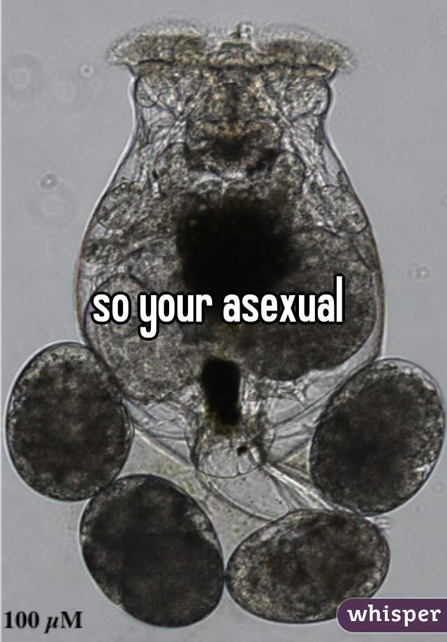 so your asexual 