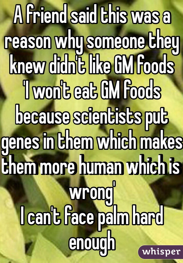 A friend said this was a reason why someone they knew didn't like GM foods 
'I won't eat GM foods because scientists put genes in them which makes them more human which is wrong' 
I can't face palm hard enough