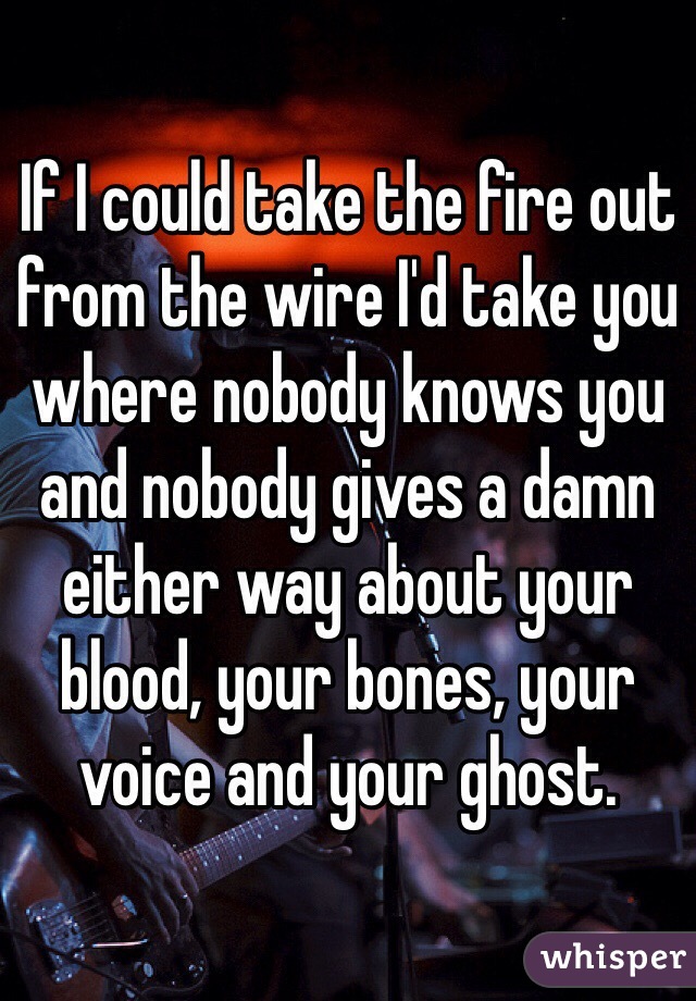 If I could take the fire out from the wire I'd take you where nobody knows you and nobody gives a damn either way about your blood, your bones, your voice and your ghost.
