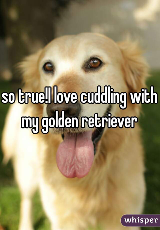 so true!I love cuddling with my golden retriever 