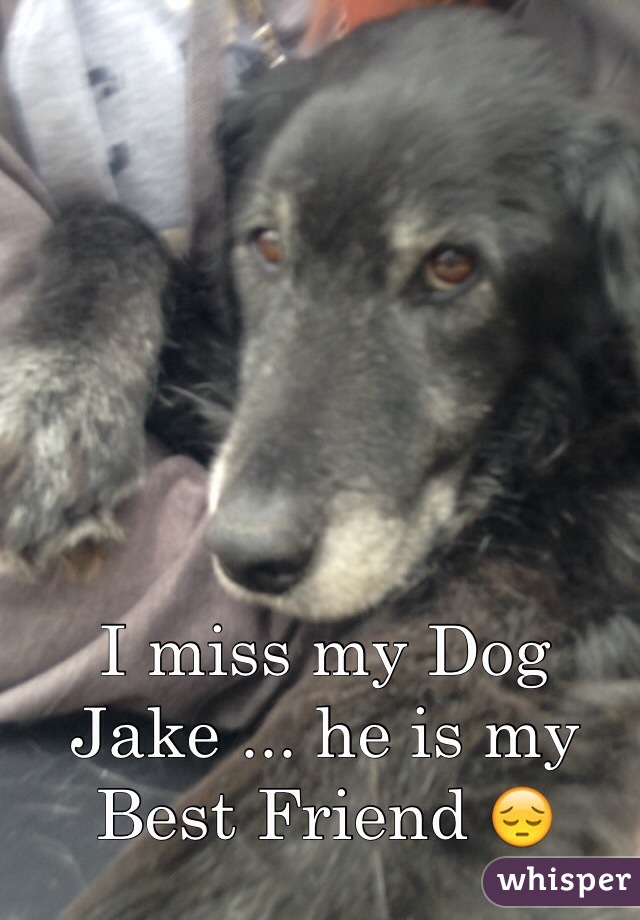 I miss my Dog Jake ... he is my Best Friend 😔