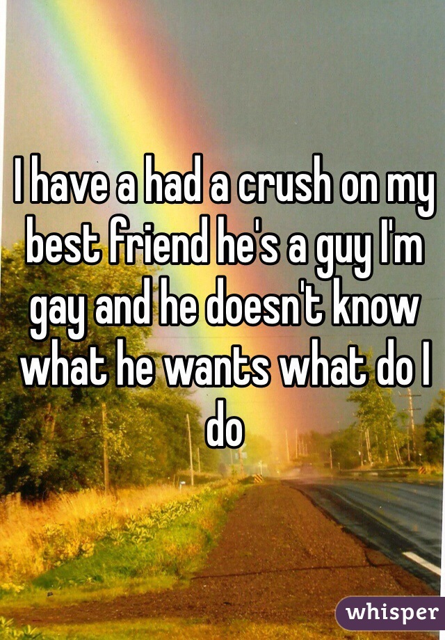 I have a had a crush on my best friend he's a guy I'm gay and he doesn't know what he wants what do I do