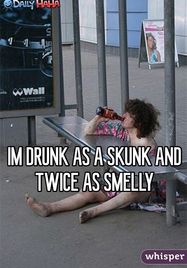 IM DRUNK AS A SKUNK AND TWICE AS SMELLY