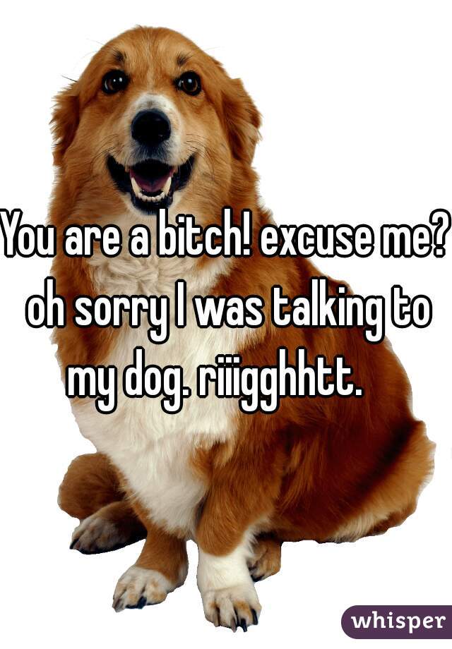 You are a bitch! excuse me? oh sorry I was talking to my dog. riiigghhtt.   