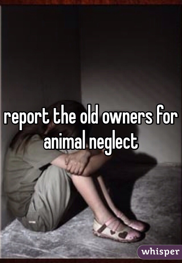 report the old owners for animal neglect 