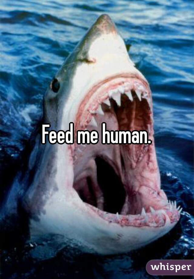 Feed me human.