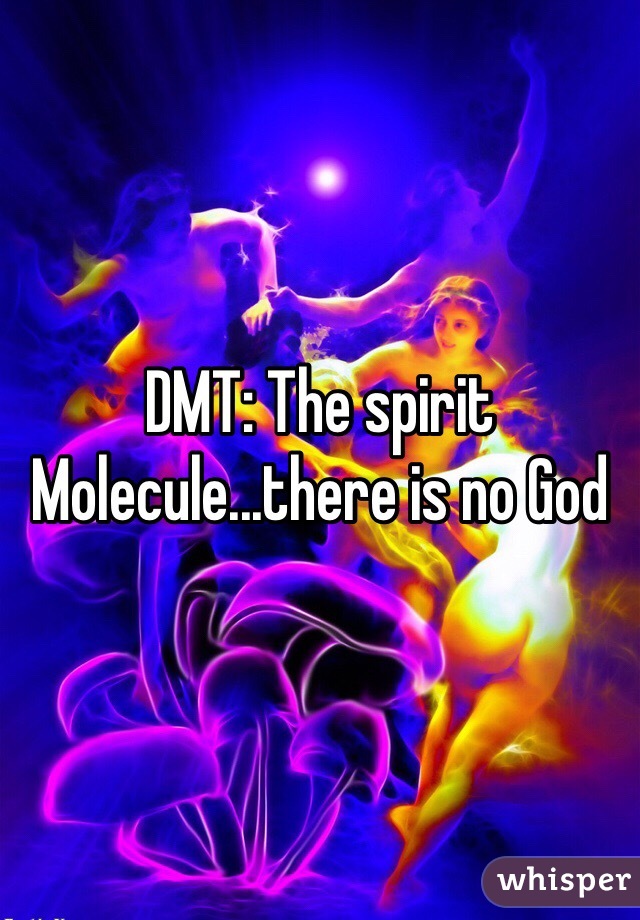DMT: The spirit Molecule...there is no God  