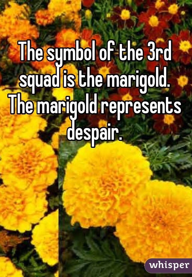 The symbol of the 3rd squad is the marigold.
The marigold represents despair.