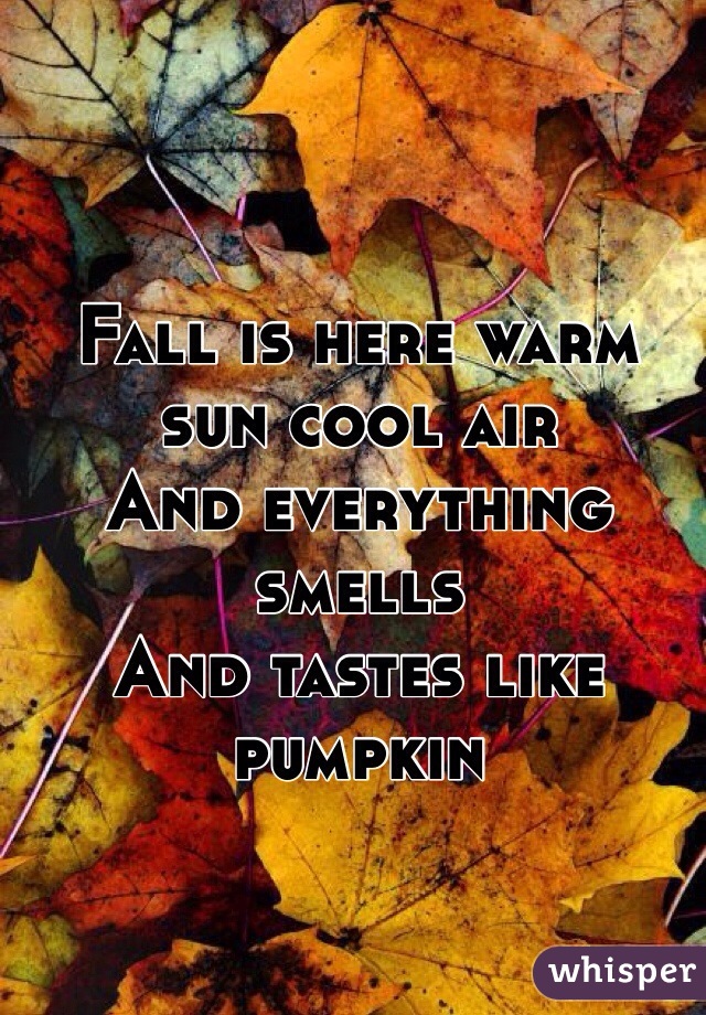 Fall is here warm sun cool air 
And everything smells 
And tastes like pumpkin 