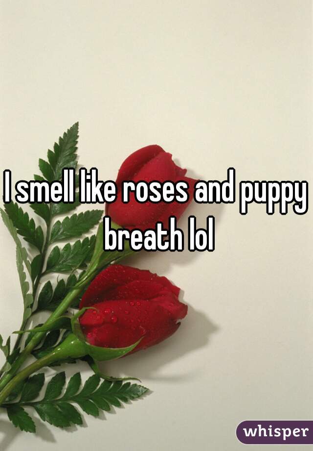 I smell like roses and puppy breath lol