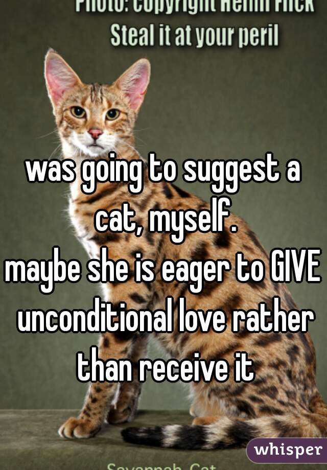 was going to suggest a cat, myself.

maybe she is eager to GIVE unconditional love rather than receive it