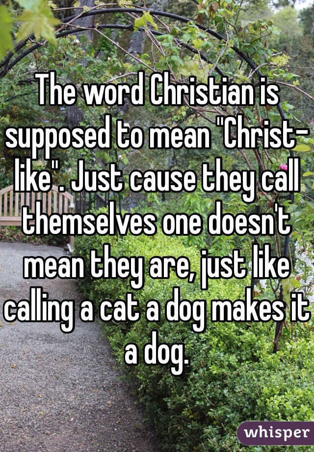 The word Christian is supposed to mean "Christ-like". Just cause they call themselves one doesn't mean they are, just like calling a cat a dog makes it a dog. 