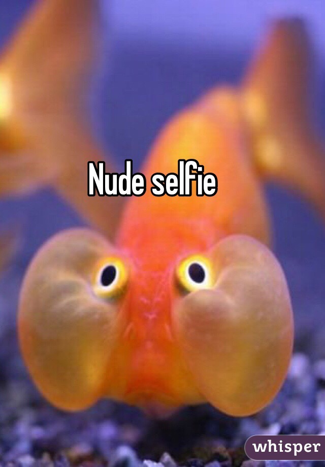 Nude selfie 