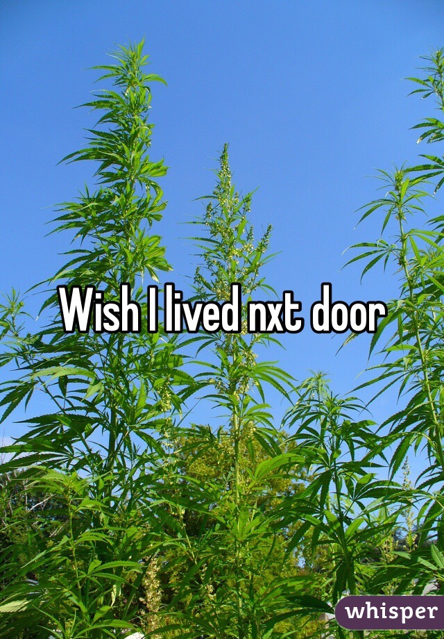 Wish I lived nxt door 