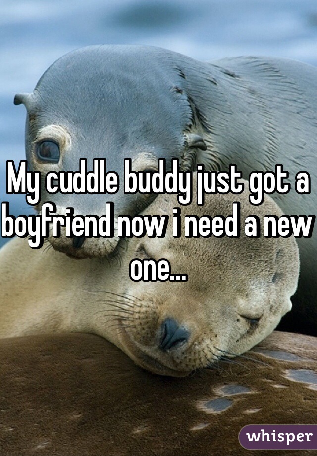 My cuddle buddy just got a boyfriend now i need a new one...