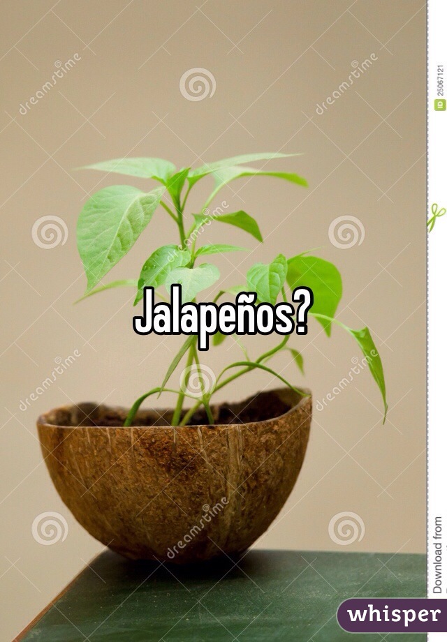 Jalapeños?