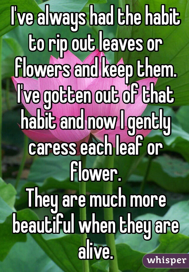 I've always had the habit to rip out leaves or flowers and keep them. 
I've gotten out of that habit and now I gently caress each leaf or flower. 
They are much more beautiful when they are alive.
