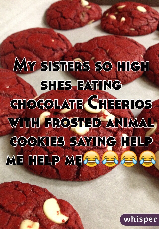 My sisters so high shes eating chocolate Cheerios with frosted animal cookies saying help me help me😂😂😂😂