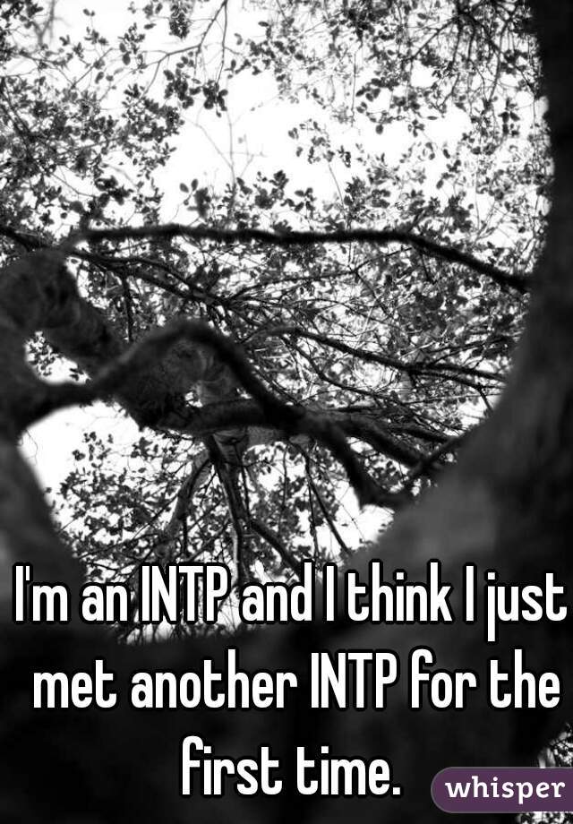 I'm an INTP and I think I just met another INTP for the first time. 