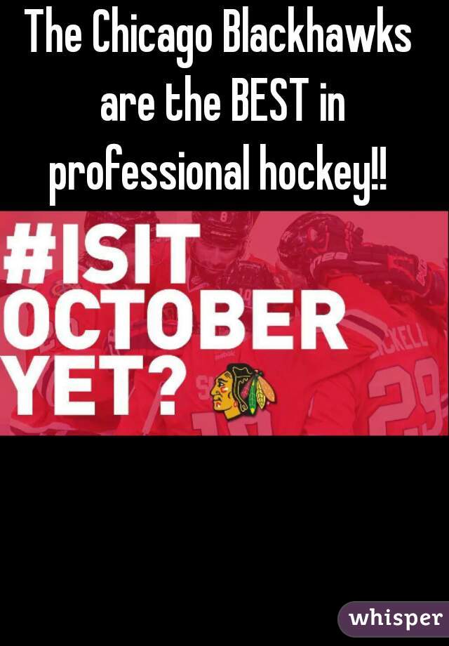 The Chicago Blackhawks are the BEST in professional hockey!! 