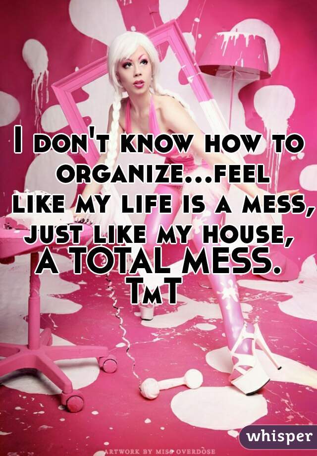 I don't know how to organize...feel like my life is a mess, just like my house, 
A TOTAL MESS.
 TmT  