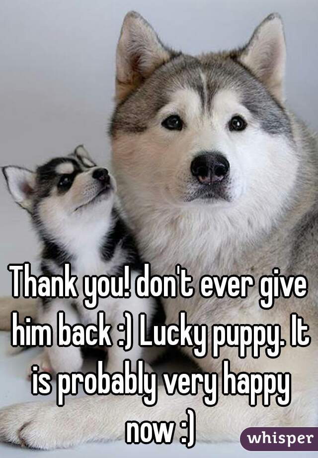 Thank you! don't ever give him back :) Lucky puppy. It is probably very happy now :)