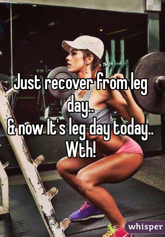 Just recover from leg day.. 
& now It's leg day today.. Wth! 