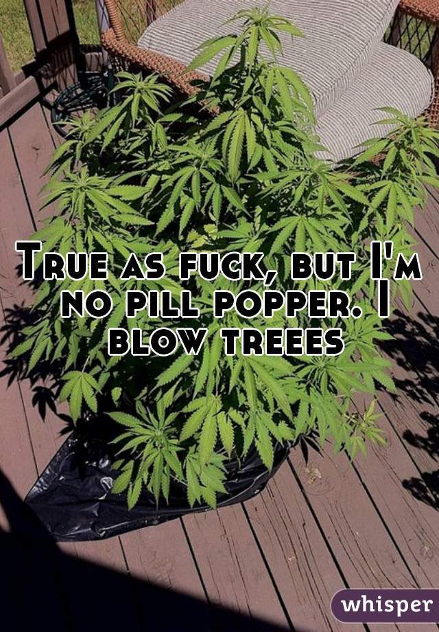 True as fuck, but I'm no pill popper. I blow treees