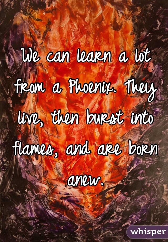 We can learn a lot from a Phoenix. They live, then burst into flames, and are born anew.  