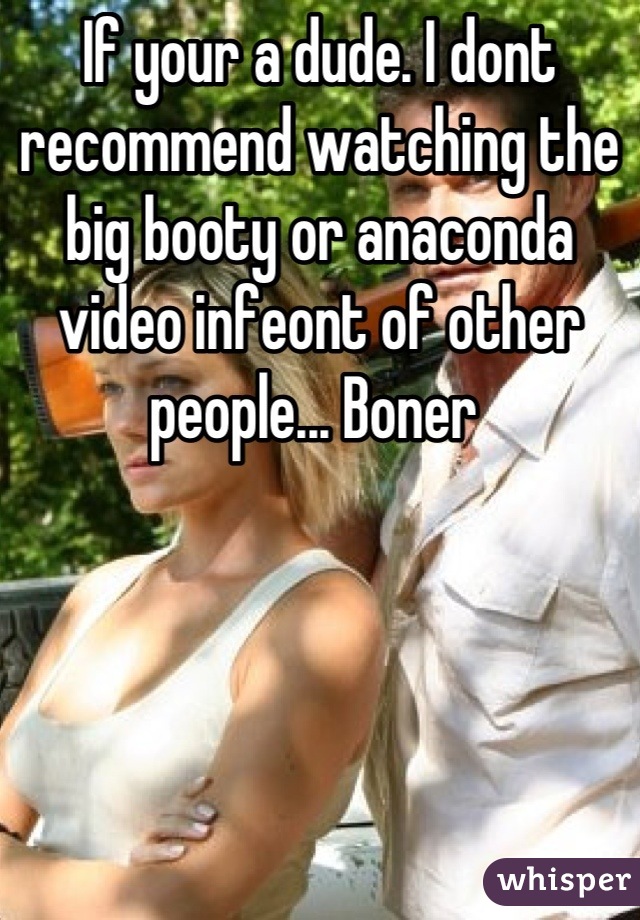 If your a dude. I dont recommend watching the big booty or anaconda video infeont of other people... Boner 