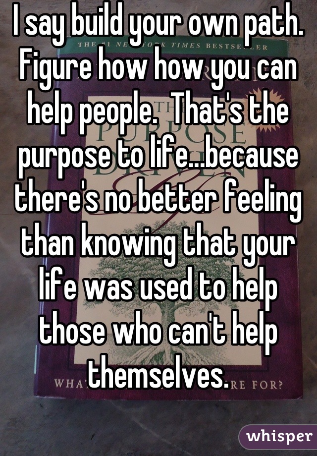 I say build your own path. Figure how how you can help people.  That's the purpose to life...because there's no better feeling than knowing that your life was used to help those who can't help themselves.