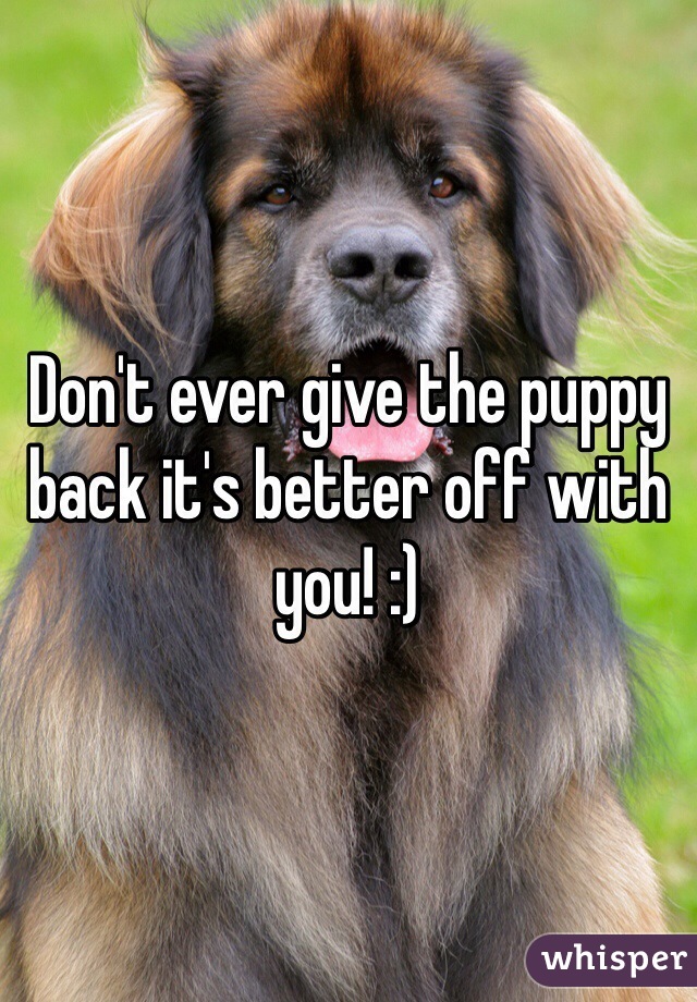 Don't ever give the puppy back it's better off with you! :) 