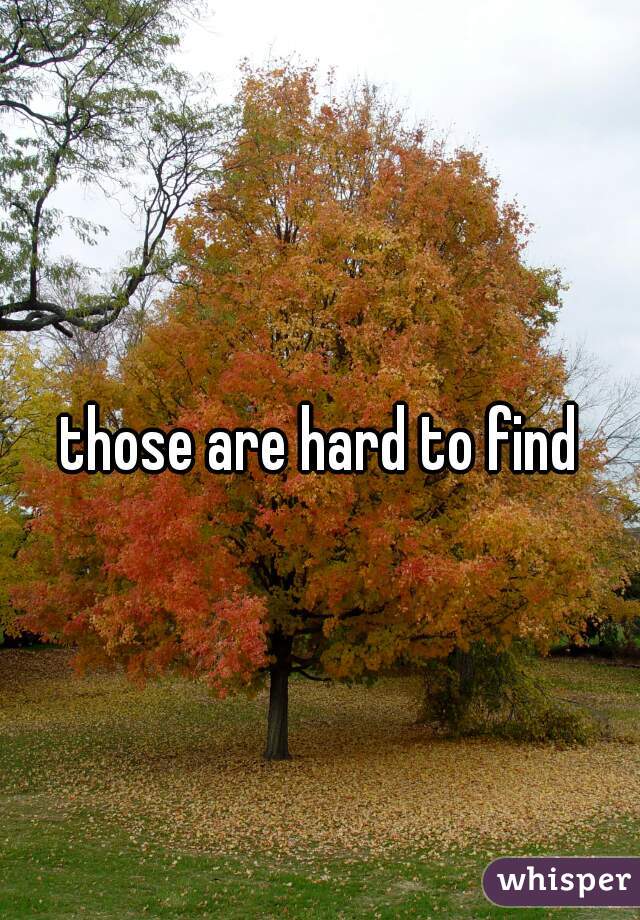 those are hard to find