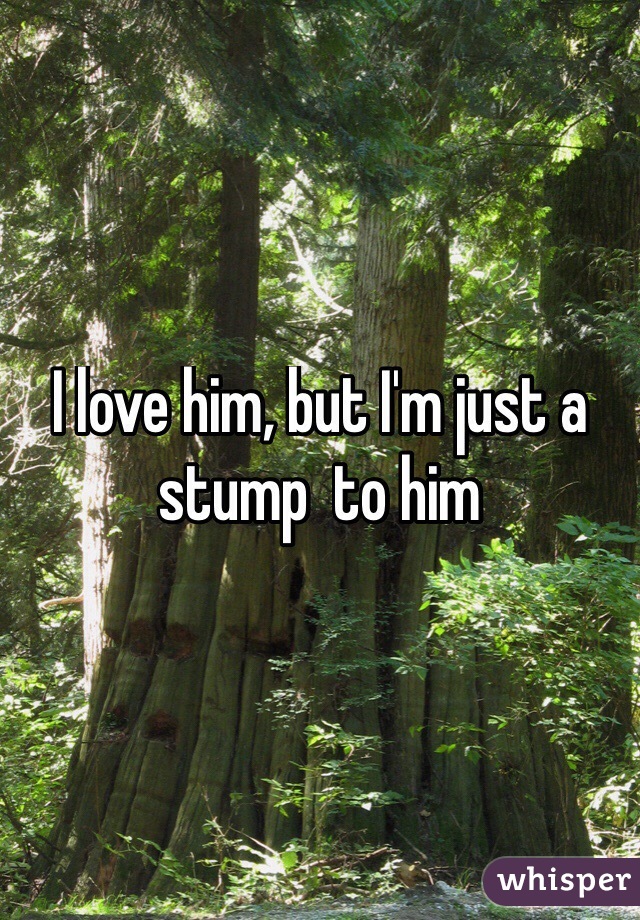 I love him, but I'm just a stump  to him
