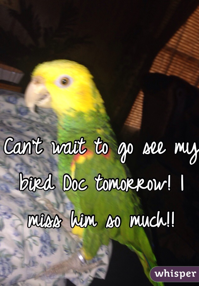 Can't wait to go see my bird Doc tomorrow! I miss him so much!! 