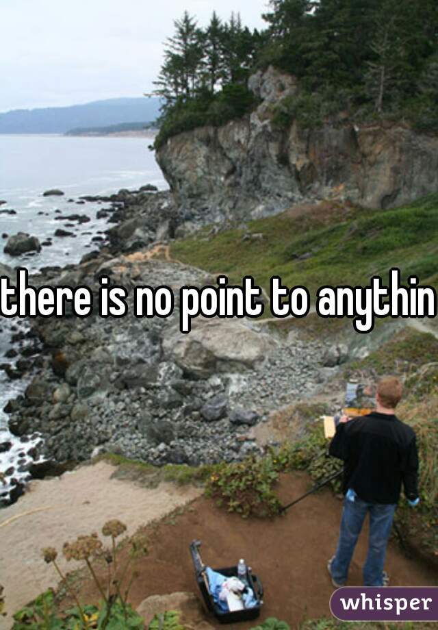 there is no point to anything