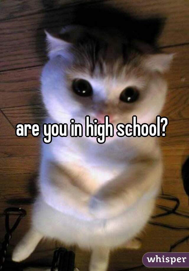 are you in high school? 
