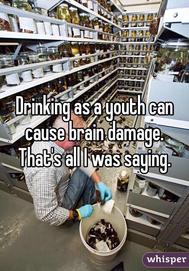 Drinking as a youth can cause brain damage. That's all I was saying.