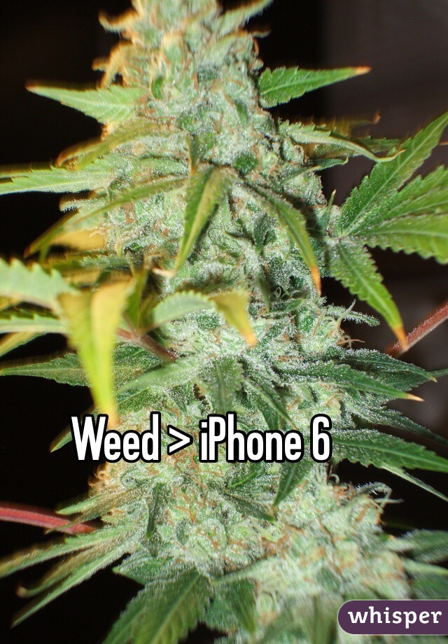 Weed > iPhone 6