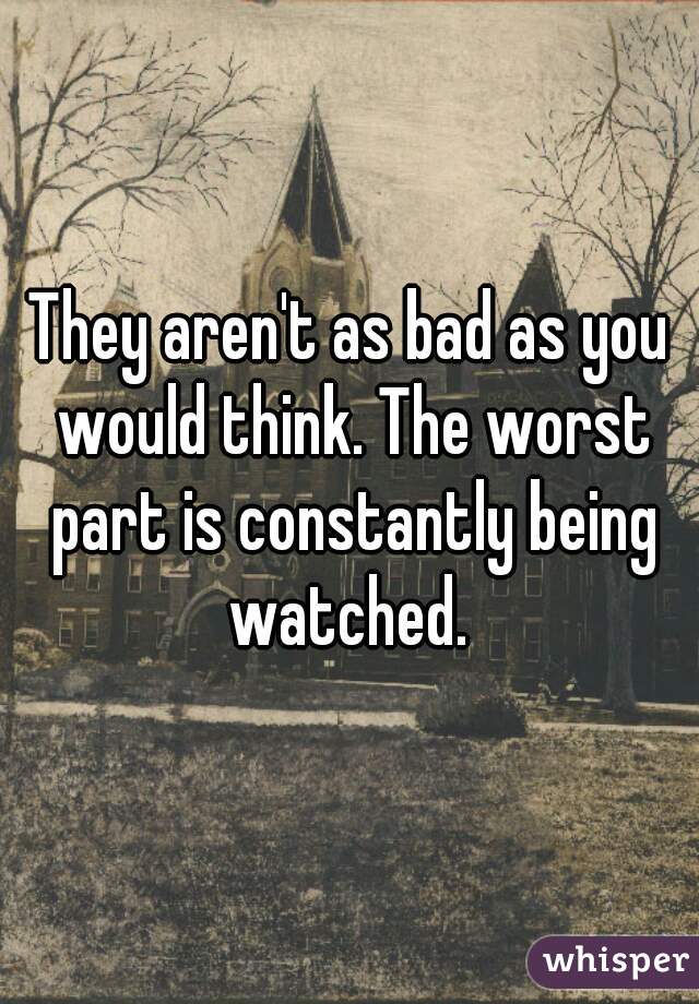 They aren't as bad as you would think. The worst part is constantly being watched. 